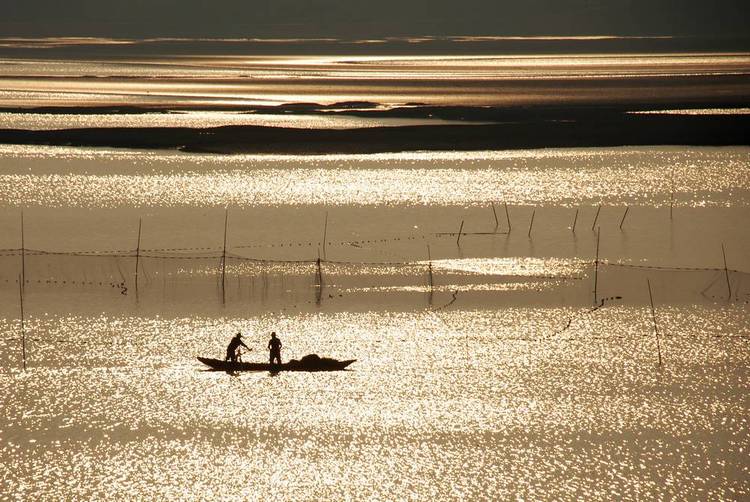 《赞美洋沙湖》有奖征文、摄影竞赛