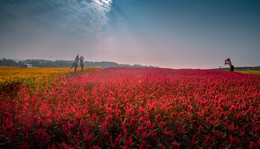 4-《花中花》伏艳_副本.jpg 4-《花中花》伏艳_副本.jpg