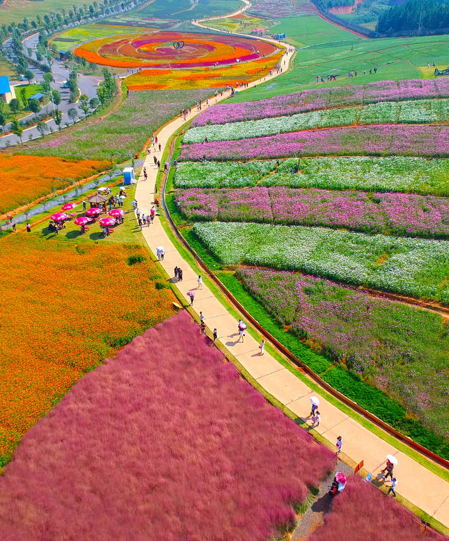 10.《一路繁花》 陈强 15873146666_副本.jpg 10.《一路繁花》 陈强 15873146666_副本.jpg